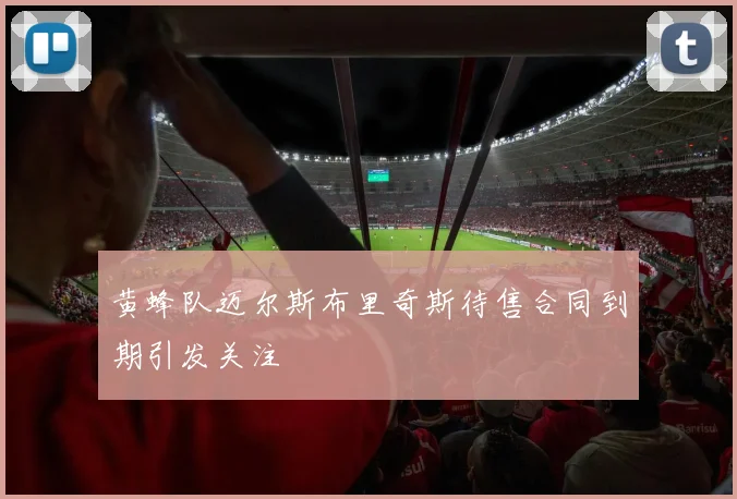 黄蜂队迈尔斯布里奇斯待售合同到期引发关注
