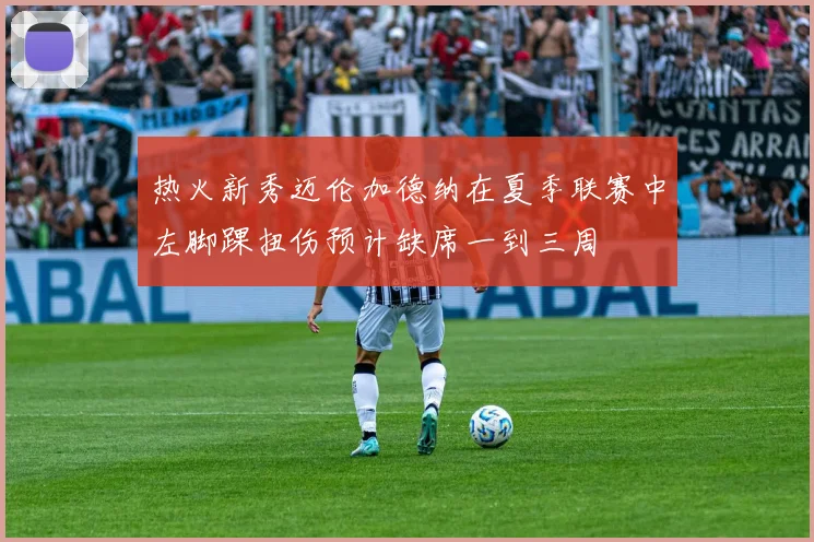 热火新秀迈伦加德纳在夏季联赛中左脚踝扭伤预计缺席一到三周